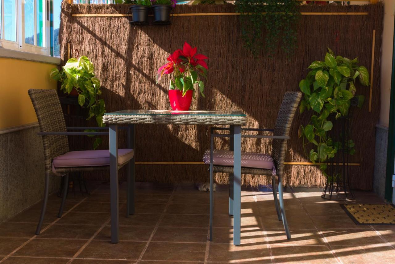Lujoso Y Moderno Duplex Con Fantastica Terraza Apartment La Laguna  Exterior photo